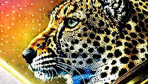 Iran đe dọa leo thang: Dòng tiền on-chain nói gì về thị trường crypto? Iran đe dọa leo thang: Dòng tiền on-chain nói gì về thị trường crypto?